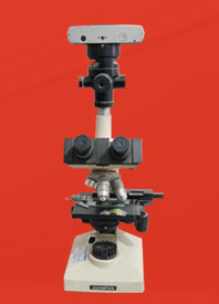 唐山偉業(yè)塑料有限公司，化纖色母粒，丙綸色母粒，色母粒，無紡布色母粒，ASA共擠色母料，熔噴料